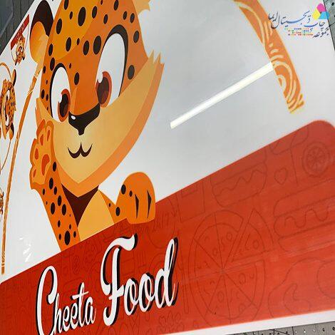 چاپ فلکسی