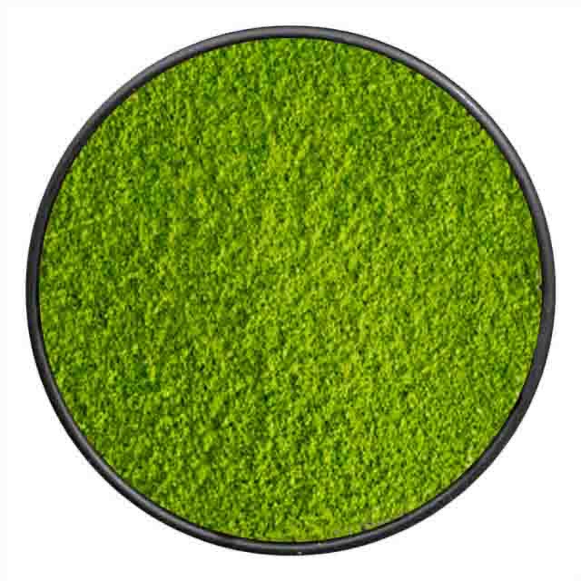 چای ماچا سرمونیال