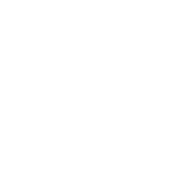 Visapass Logo